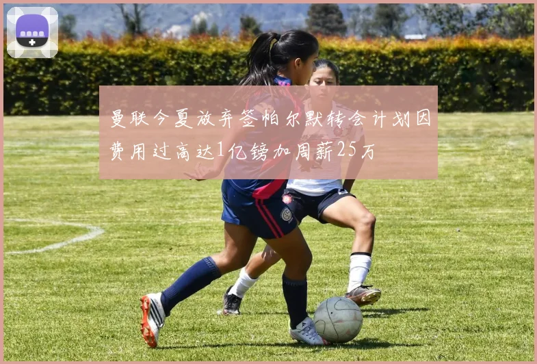 曼联今夏放弃签帕尔默转会计划因费用过高达1亿镑加周薪25万