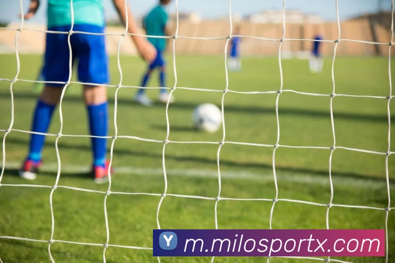 米乐平台生态图